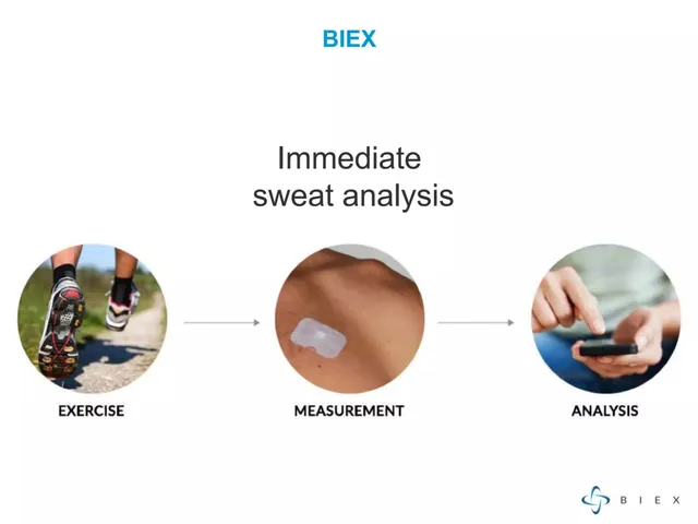 Section divider slide 2 from BIEX