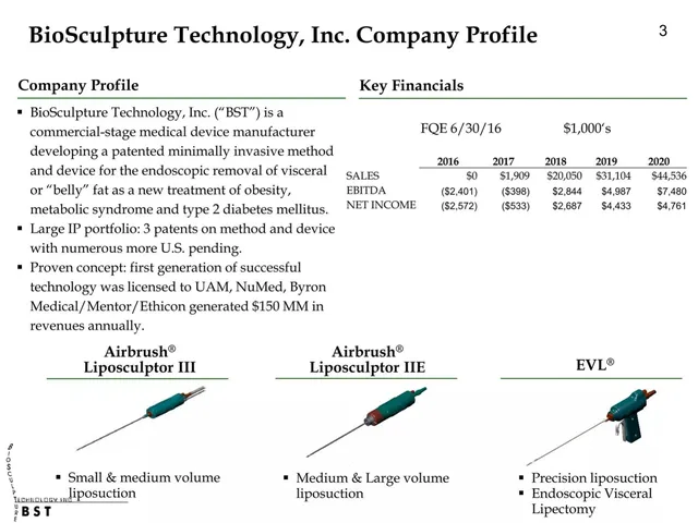 Company overview slide 4 from BioSculpture Technology, Inc.