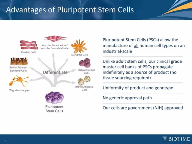 Technology slide 7 from BioTime