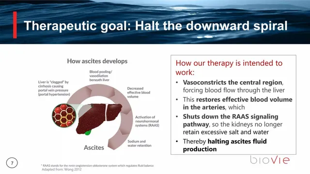 Technology slide 7 from BioVie