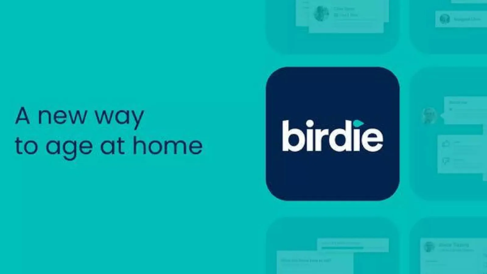 Birdie pitch deck slide