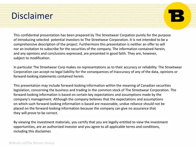 Disclaimer slide 2 from BitRush Corporation