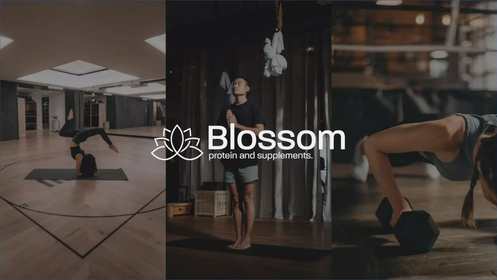 Blossom Protein pitch deck slide