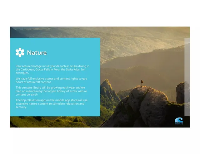 Product / solution slide 7 from Blue Room Immersive