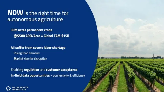 Market sizing / opportunity slide 4 from Blue White Robotics
