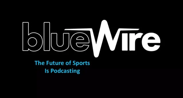 Blue Wire pitch deck cover