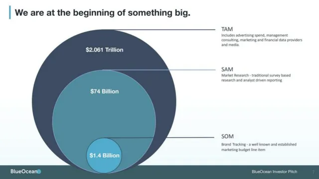 Market sizing / opportunity slide 6 from BlueOcean