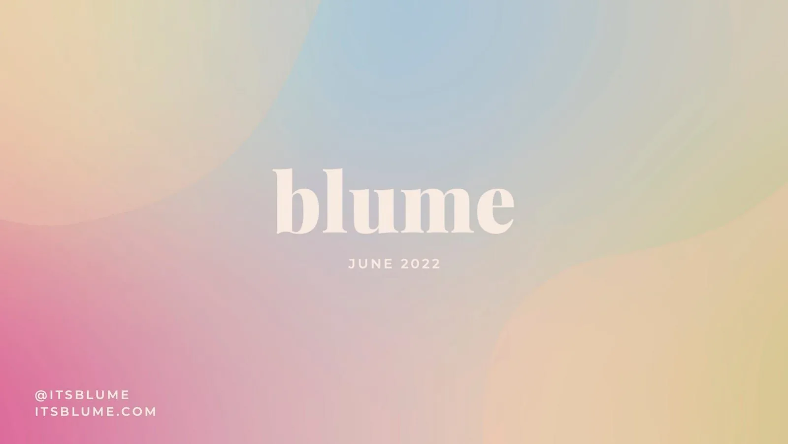 Blume pitch deck slide