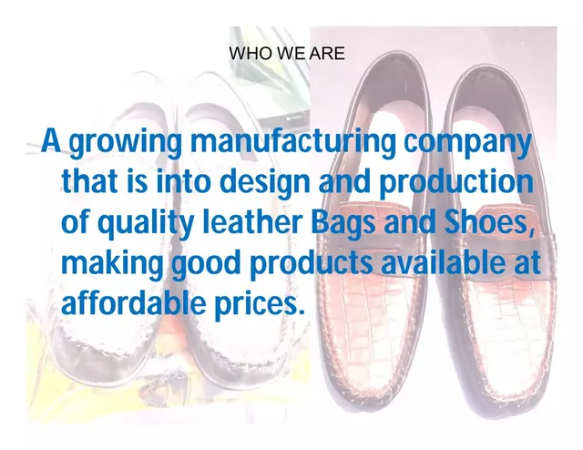 Company overview slide 2 from Bml Collections