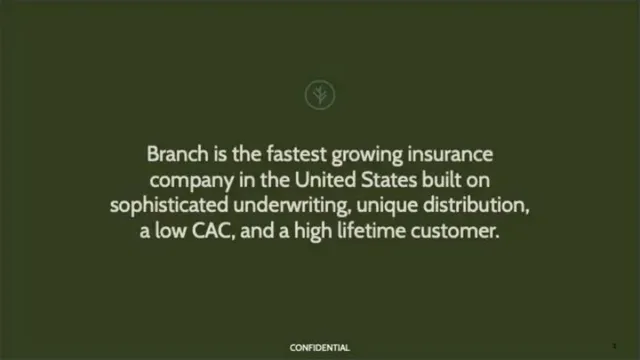 Company overview slide 2 from Branch