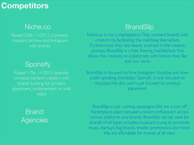 Competitors slide 7 from BrandSlip