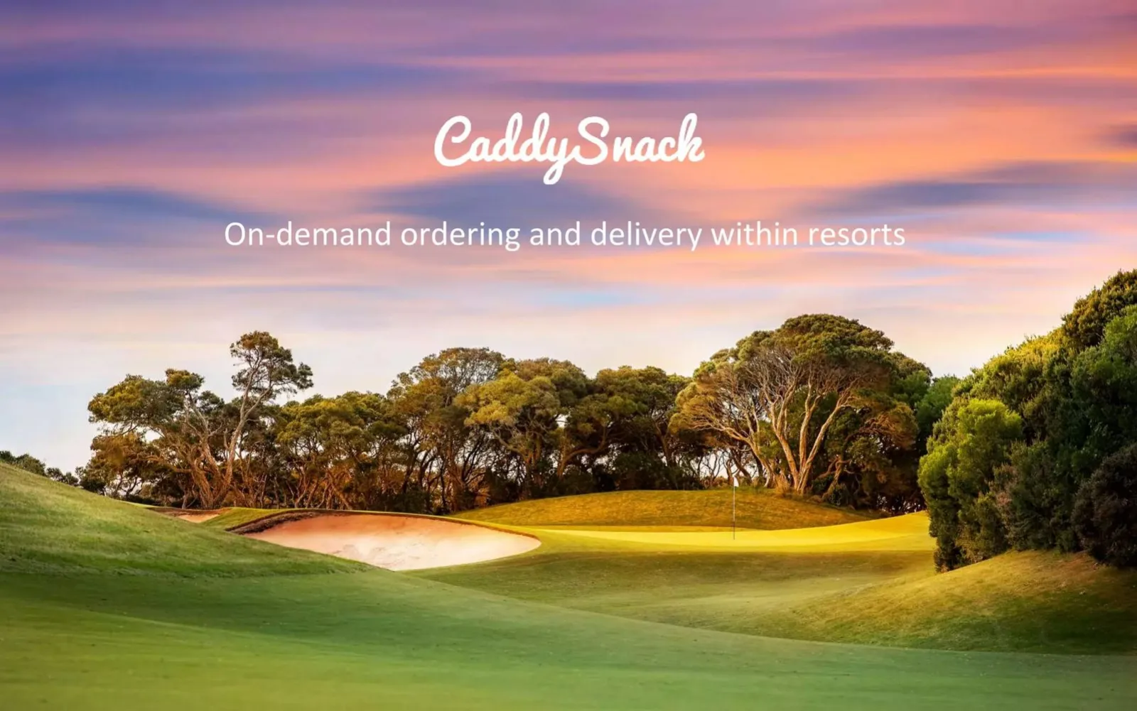 CaddySnack pitch deck slide