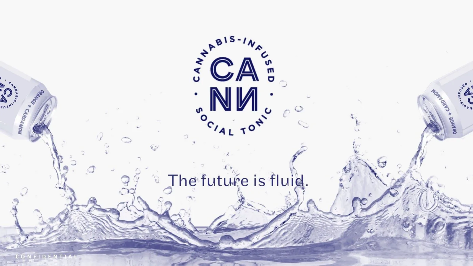 Cann pitch deck slide