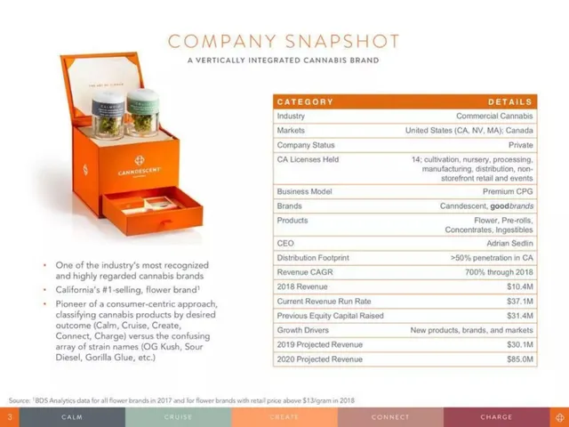 Company overview slide 3 from Canndescent
