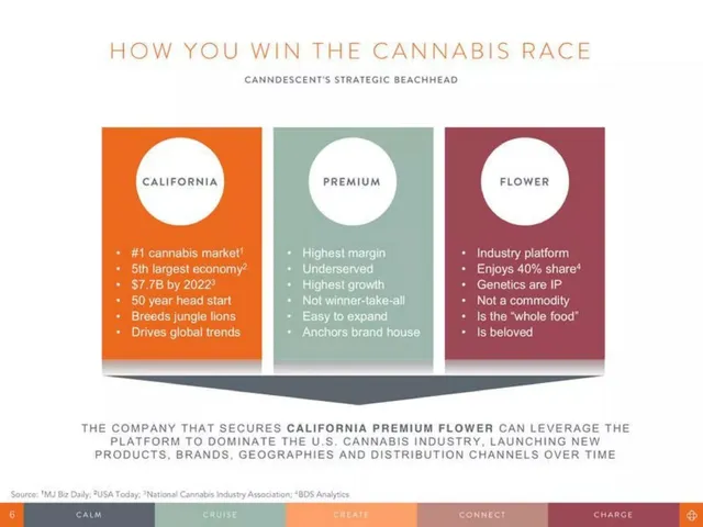 Market sizing / opportunity slide 6 from Canndescent
