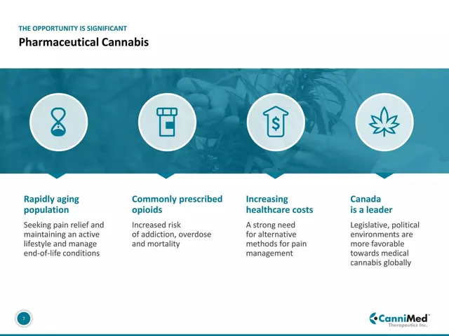 Why now slide 7 from CanniMed Therapeutics Inc.
