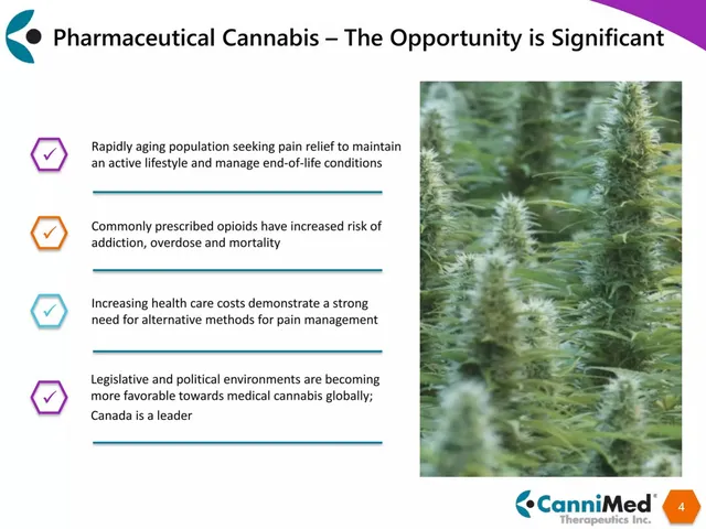 Why now slide 4 from CanniMed Therapeutics Inc.