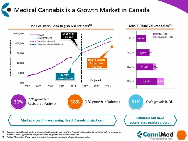 Market sizing / opportunity slide 6 from CanniMed Therapeutics Inc.