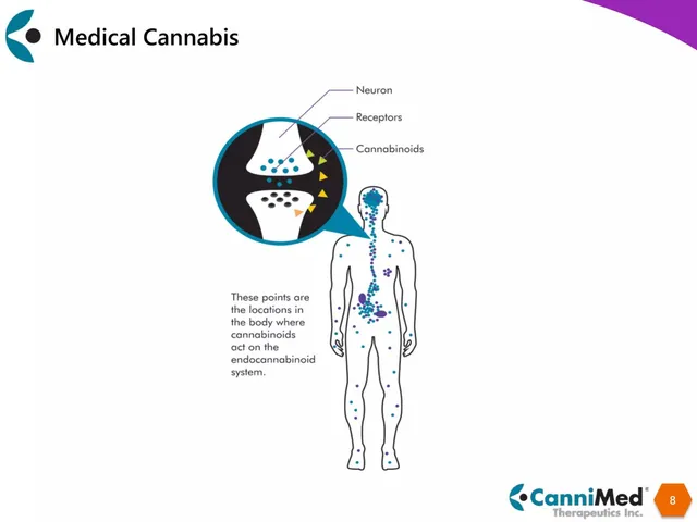 Technology slide 8 from CanniMed Therapeutics Inc.