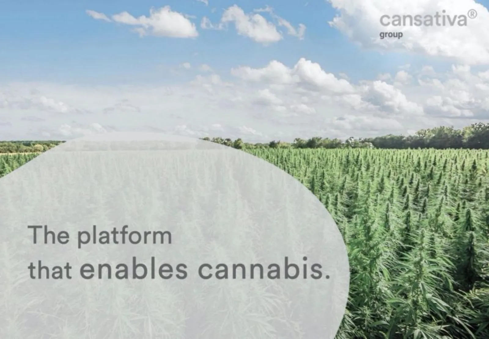 Cansativa pitch deck slide