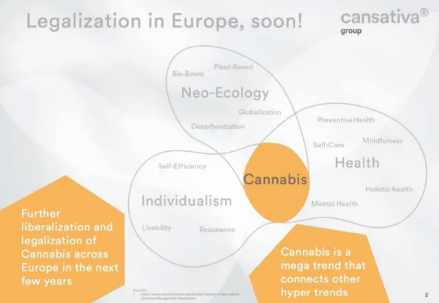 Why now slide 2 from Cansativa