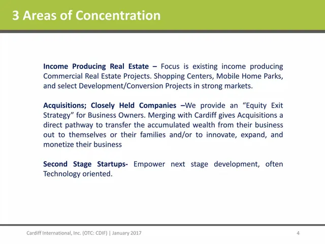 Company overview slide 4 from Cardiff International Inc.