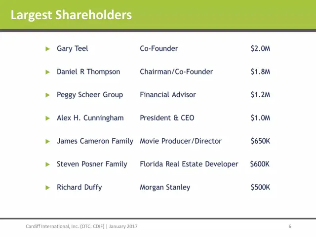 Company overview slide 6 from Cardiff International Inc.