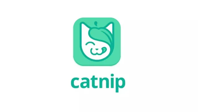 Catnip pitch deck cover