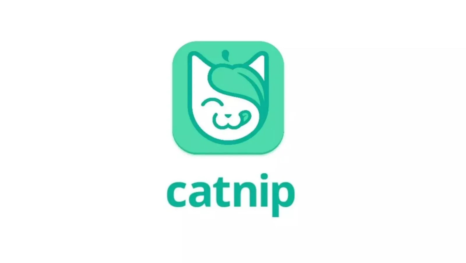 Catnip pitch deck slide