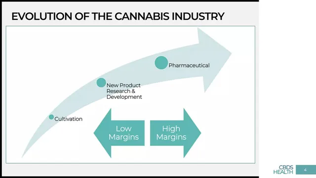 Market analysis / overview slide 4 from CBDS Health Inc. (with GrowBuddy)