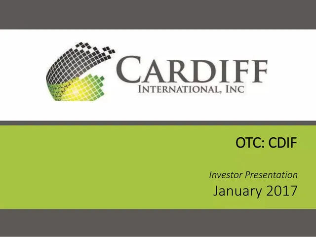 Cardiff International pitch deck cover