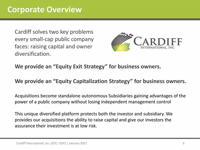Company overview slide 3 from Cardiff International