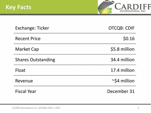 Company overview slide 5 from Cardiff International, Inc. (CDIF)