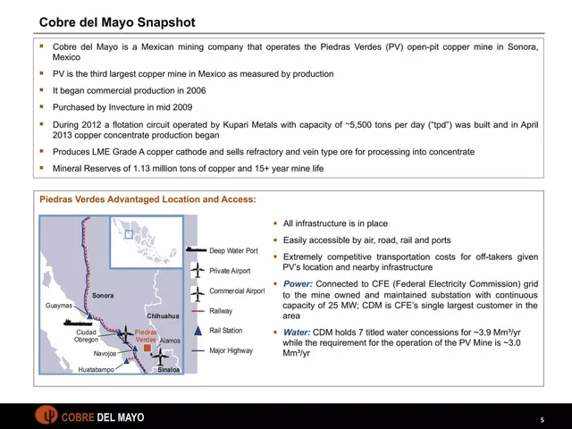 Company overview slide 5 from Cobre del Mayo