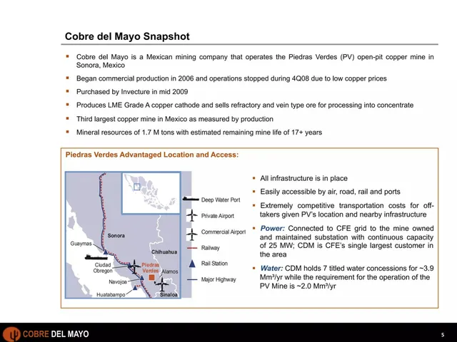 Company overview slide 5 from Cobre Del Mayo