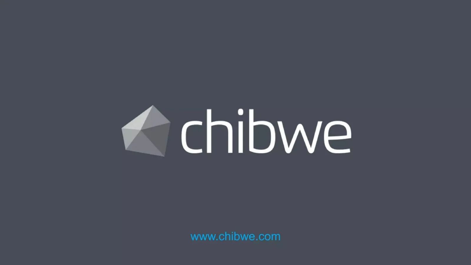 Chibwe pitch deck slide