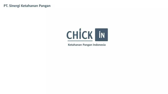 Chick in pitch deck cover