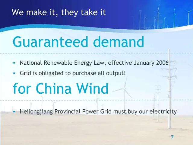 Market analysis / overview slide 7 from China Wind Power International Corp.
