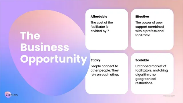Business model / revenue streams slide 9 from Circles
