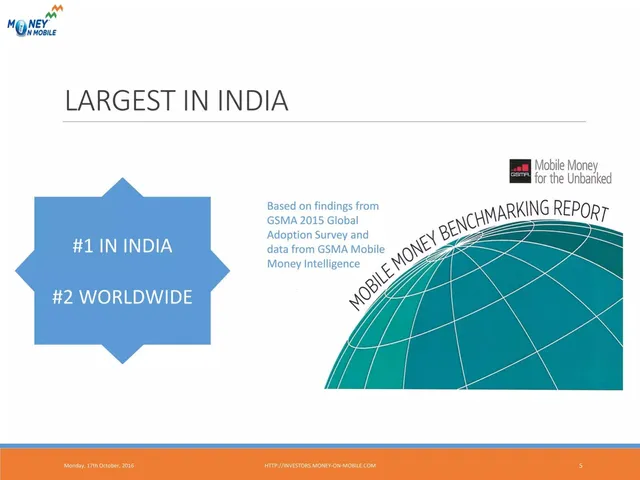 Market analysis / overview slide 5 from MoneyOnMobile (CLPI)