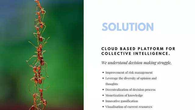 Product / solution slide 4 from Collectiwise