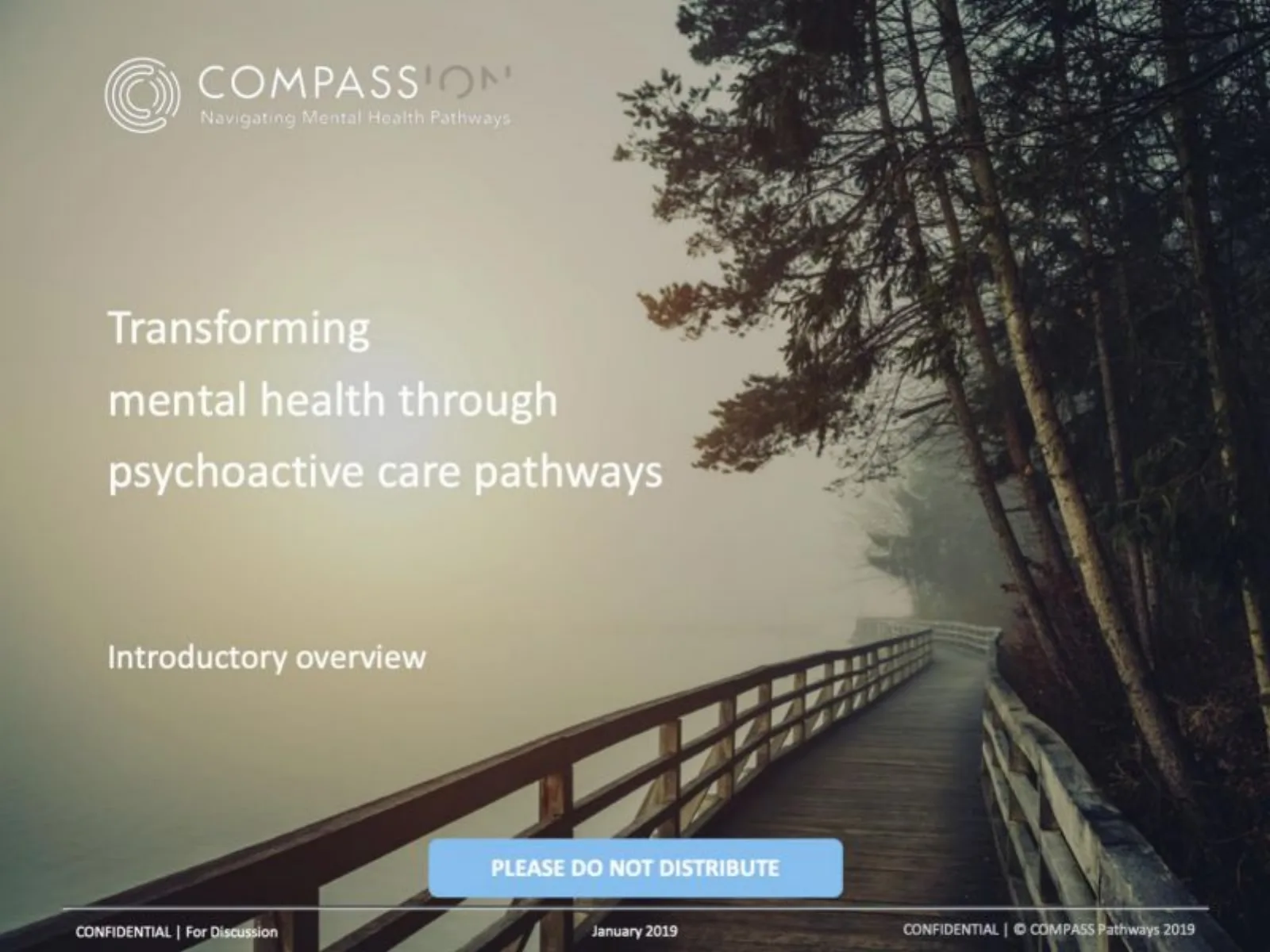 Compass Pathways pitch deck slide