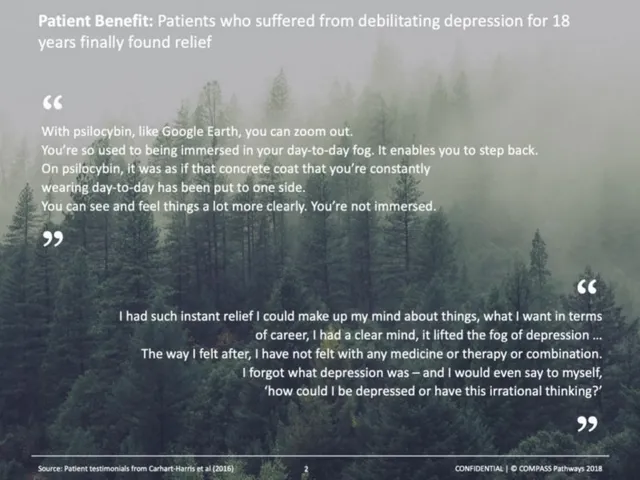 Reviews / testimonials / feedback slide 3 from Compass Pathways
