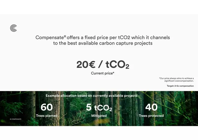 Business model / revenue streams slide 6 from Compensate
