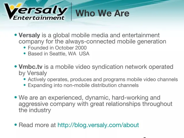 Company overview slide 2 from Versaly Entertainment