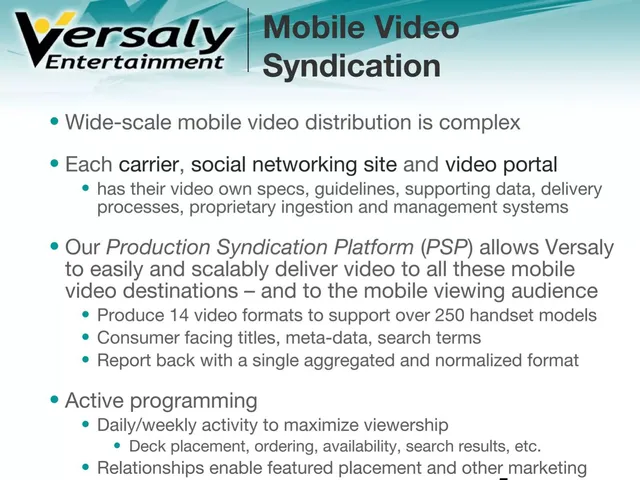 Product / solution slide 5 from Versaly Entertainment