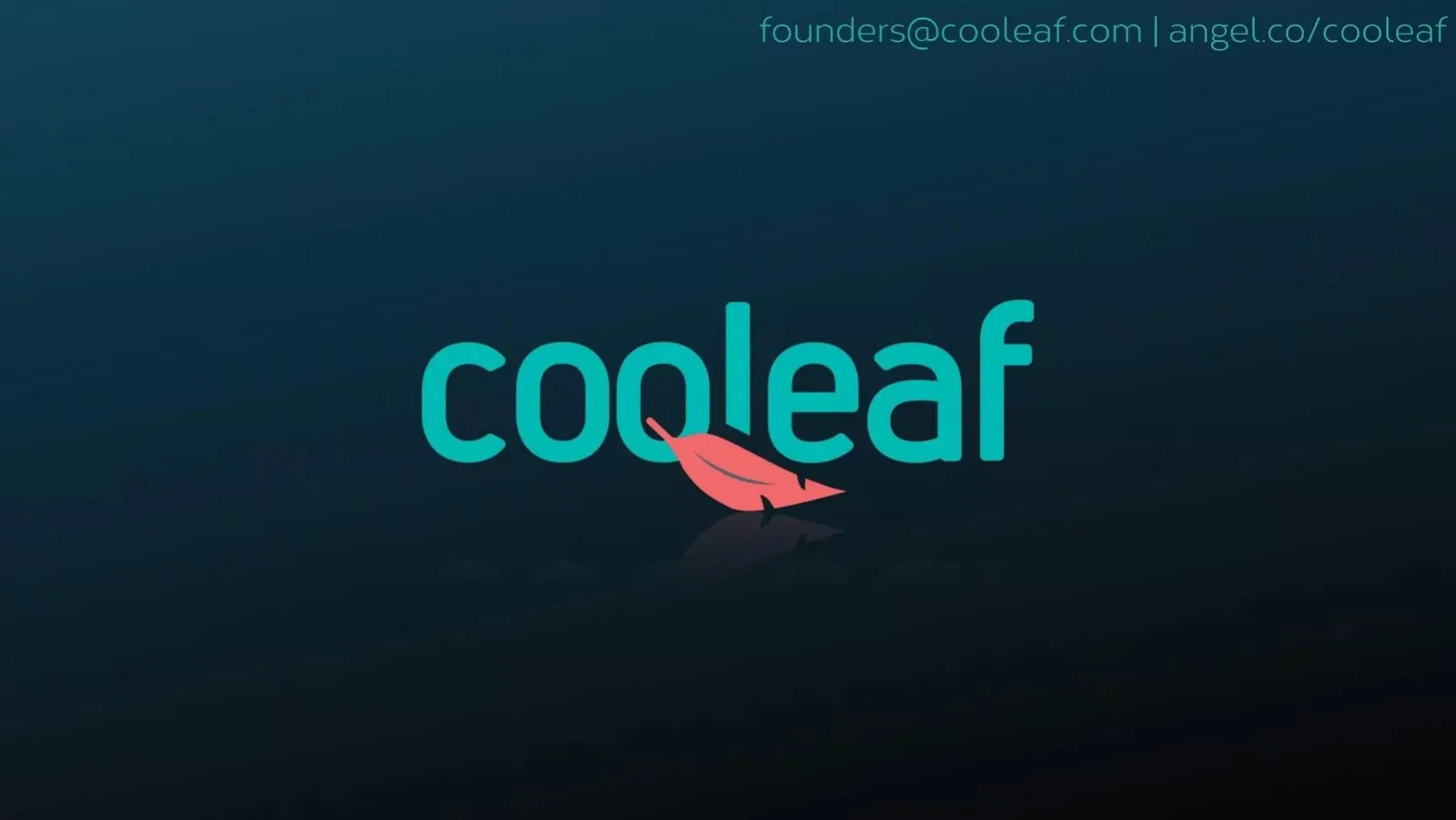 Cooleaf pitch deck slide