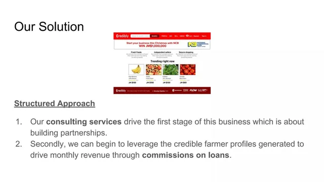 Business model / revenue streams slide 5 from Credibly