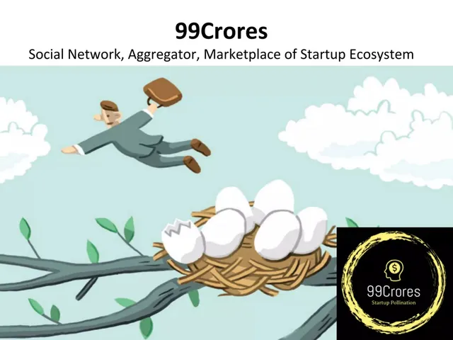 99Crores pitch deck cover