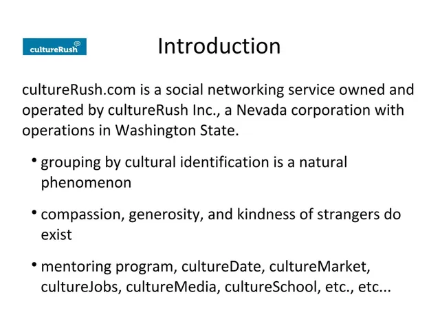 Company overview slide 2 from cultureRush